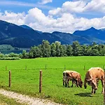 Seethurn-4 By Interhome Апартаменты *