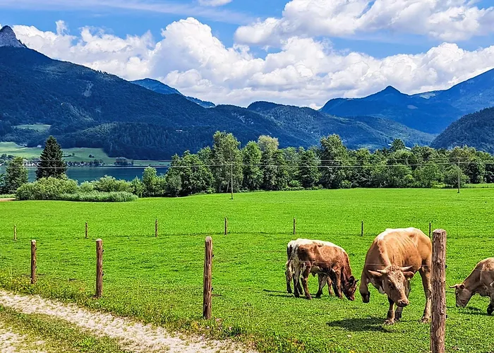 Seethurn-4 By Interhome Apartamento *