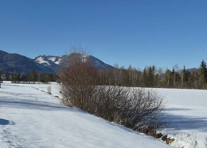 Seethurn-4 By Interhome Apartament Strobl